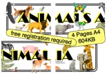 Animalia Banner
